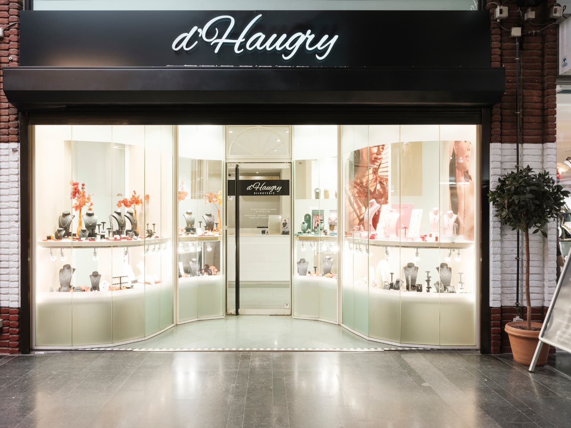 Vitrine de D'Haugry